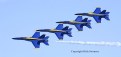 Picture Title - Blue Angels