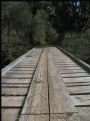 Picture Title - Bridge To ???