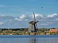 Picture Title - Magpie, flying high towards the blue sky