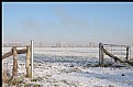 Picture Title - frozen landscape