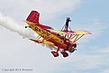 Picture Title - Wingwalker