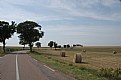 Picture Title - fields of burgundy