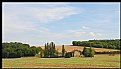 Picture Title - fields of burgundy