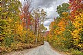 Picture Title - Autumn Road