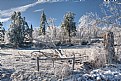 Picture Title - Icy Landscape