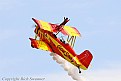 Picture Title - Wingwalker