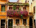 Picture Title - Primavera em Veneza