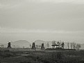 Picture Title - bw landscape