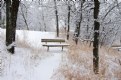 Picture Title - A Winter Bench