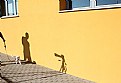 Picture Title - shadows