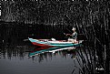 Picture Title -  THE FISHERMAN AND HIS BOAT