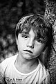 Picture Title - Portrait of a Boy