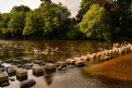 Picture Title - Silent Stepping Stones