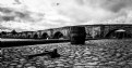 Picture Title - Cobbled Quay