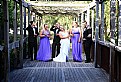 Picture Title - Wedding Party