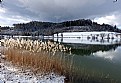 Picture Title - Hiver au Lac de Bret