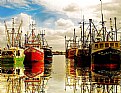 Picture Title - fishing fleet