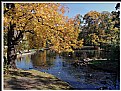 Picture Title - GOLDEN POLISH AUTUMN