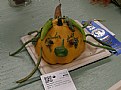 Picture Title - OCTOSQUASH