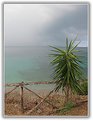 Picture Title - Isola d'Elba 2