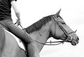 Picture Title - Riding Lesson