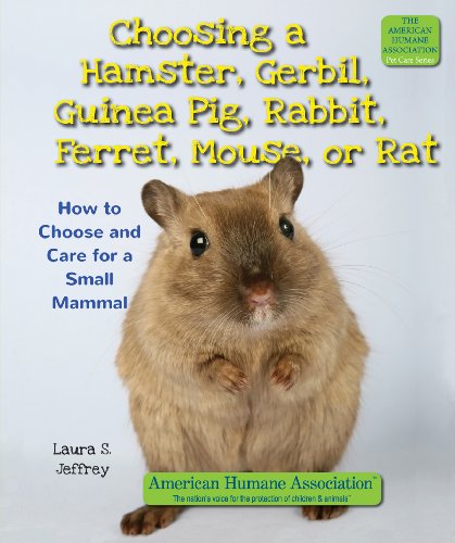 Choosing a Hamster, Gerbil, Guinea Pig, Rabbit, Ferret, Mouse or Rat: How to Choose and Care for a Small Mammal