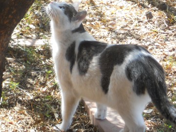 me checking out the tree