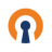 OpenVPN