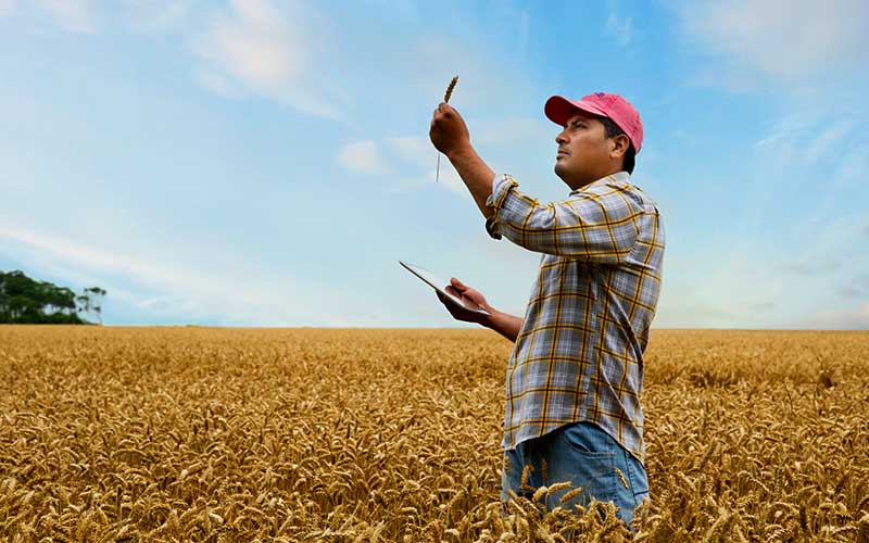 Infosys Digital Agriculture Platform 