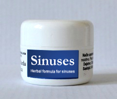 sinuses