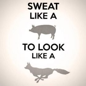 Sweat like a pig