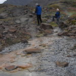 Colorful Algae in Hot Water