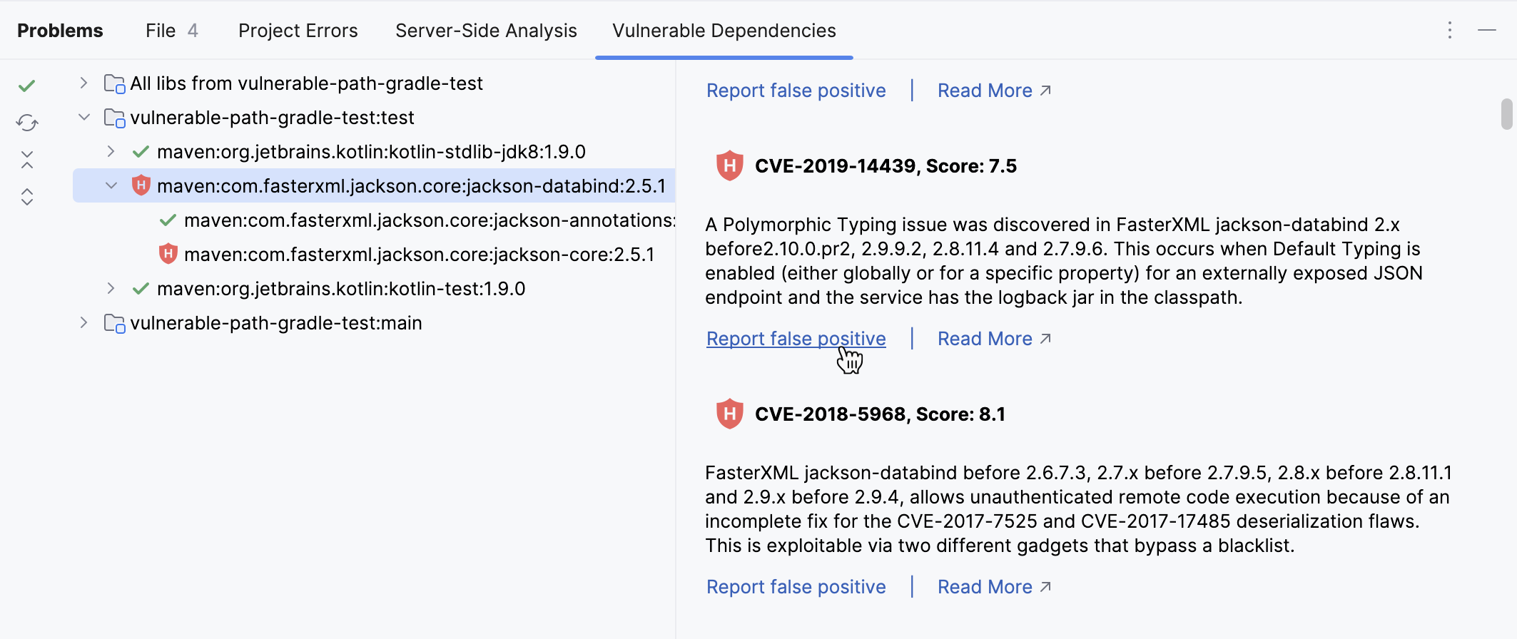 Report false vulnerable dependency