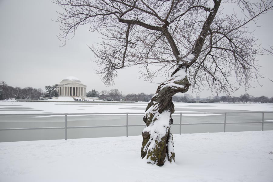 Washington Monuments Feb 16 38