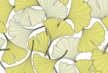 GINKGO PATTERN DESIGN