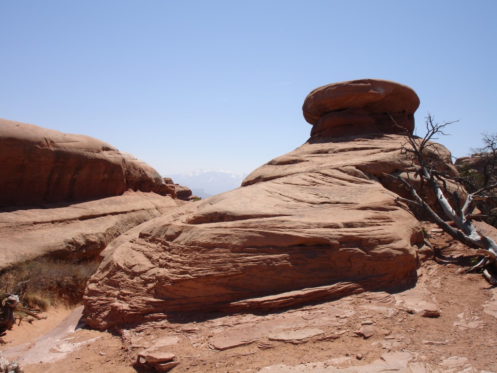 On top of a fin in Devils Garden