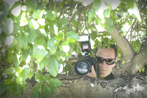 Photographer hiding in a tree