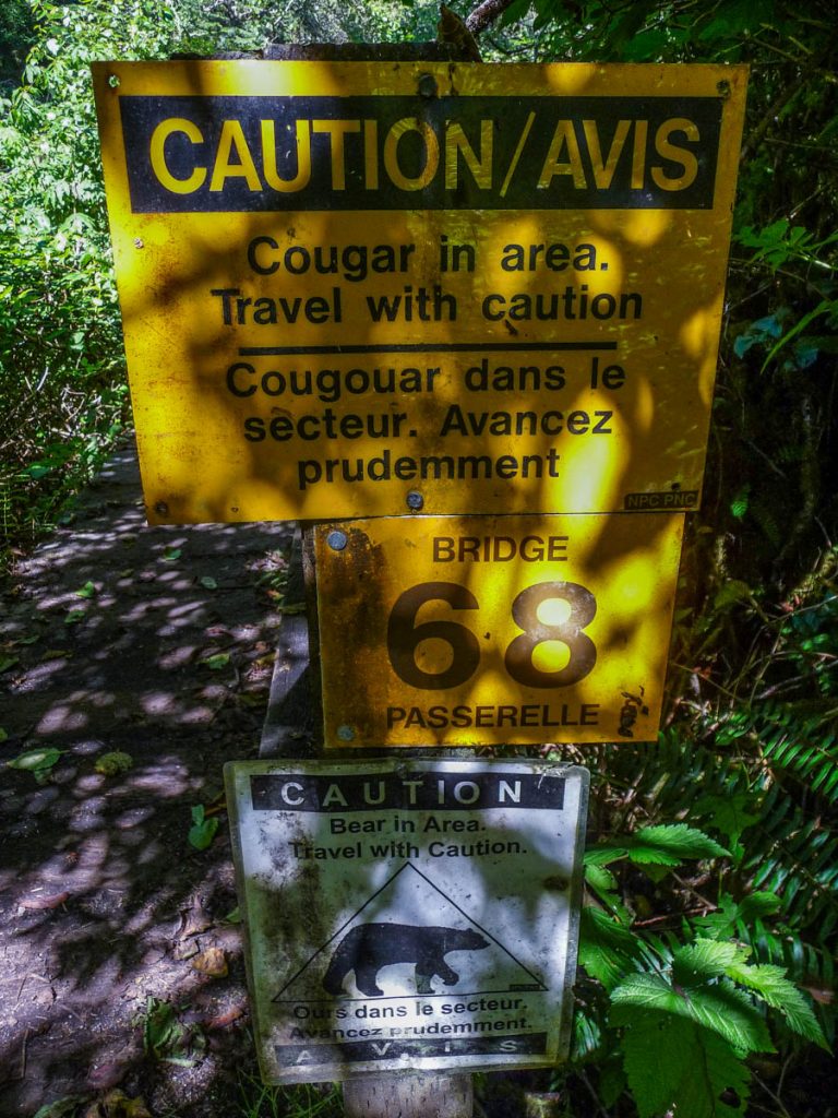 Bear and cougar warning, West Coast Trail