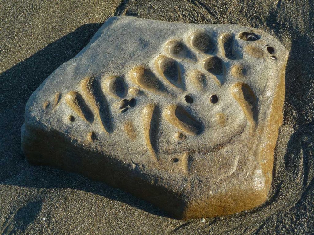 Strange rock on the beach, West Coast Trail