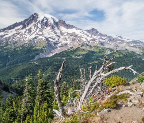 Views from Pinnacle Peak, Mount Rainier National Park