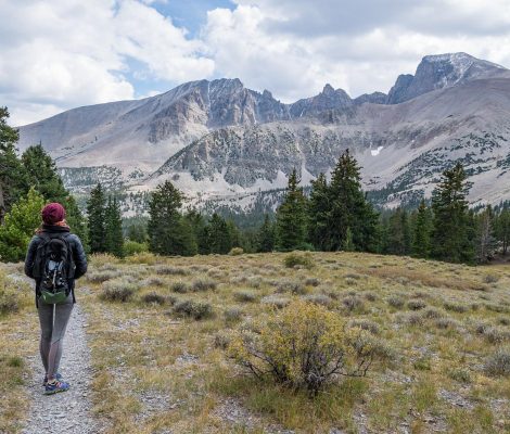 Looking back at Wheeler Peak