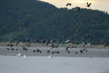 Crane Conservation Experts Praise Suncheon Bay’s Ecological Vision