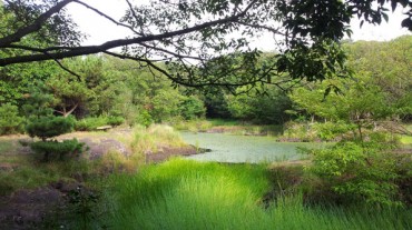 Jeju School’s Eco-Friendly Initiative Inspires Sustainable Practices and Environmental Education