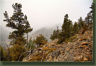 Sleeping Elephant Mountain hike