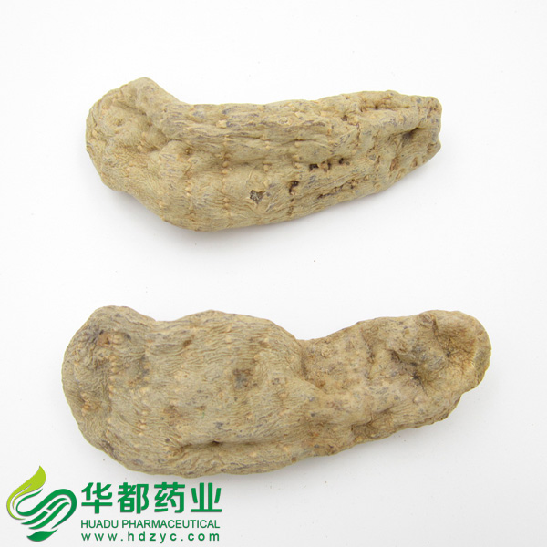 Rhizoma Gastrodiae / 天麻 / Tian Ma