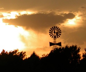 Texas Windmill