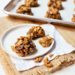 Healthy Lactation Cookies (GF/DF)