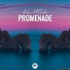 Promenade - Solace Melodies (2023) [FLAC (tracks)]