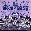 VA - Drum & Bass Selection 2 (Wheel Up And Come Again) (1994) [FLAC (tracks + .cue)]