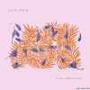 Linda Fredriksson - Juniper (2021) [FLAC (tracks + .cue)]